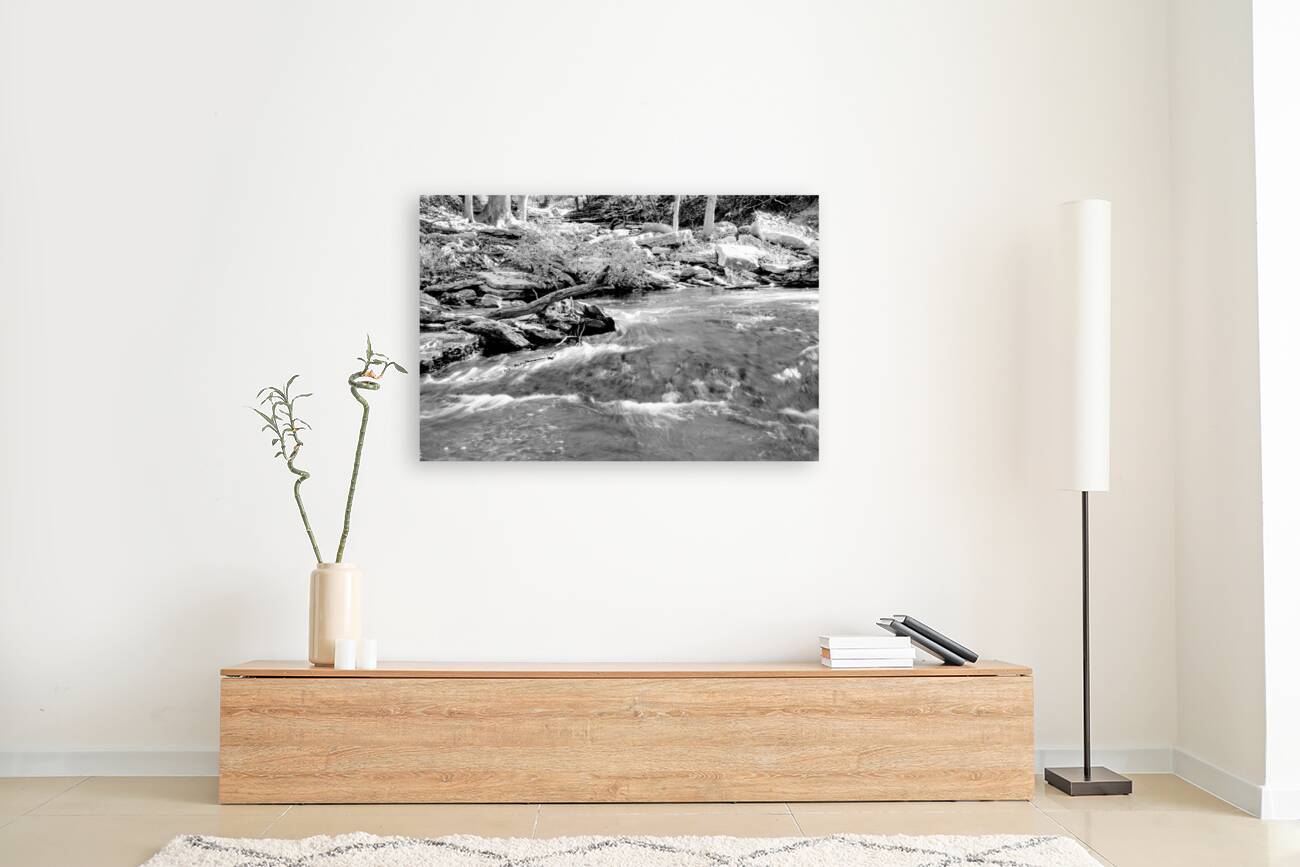 Tanyard Creek Rushing Water Grayscale Reproduction