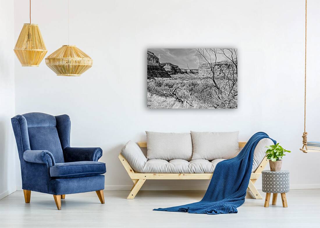 Dead Tree Colorado River Utah Grayscale Reproduction