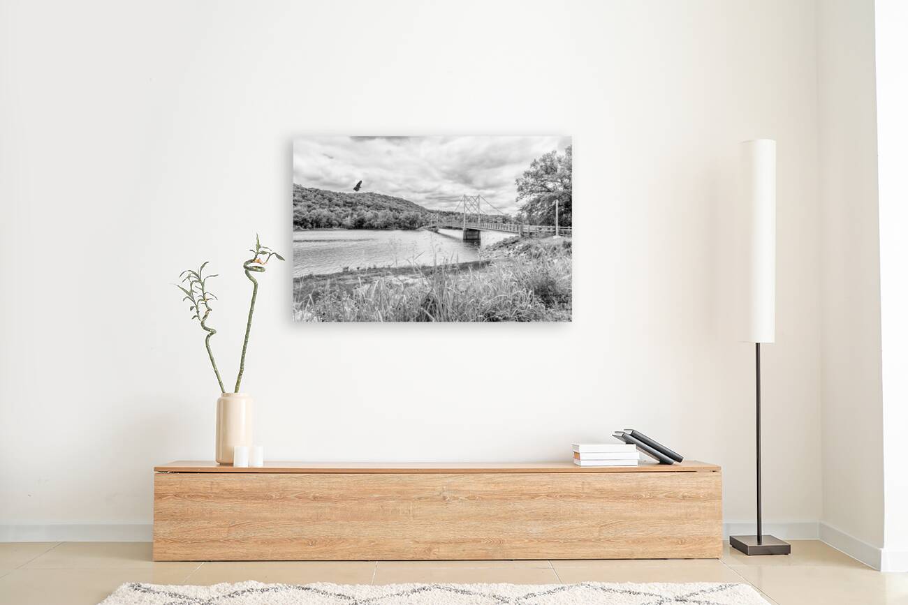 Hawk Over Little Golden Gate Grayscale Reproduction