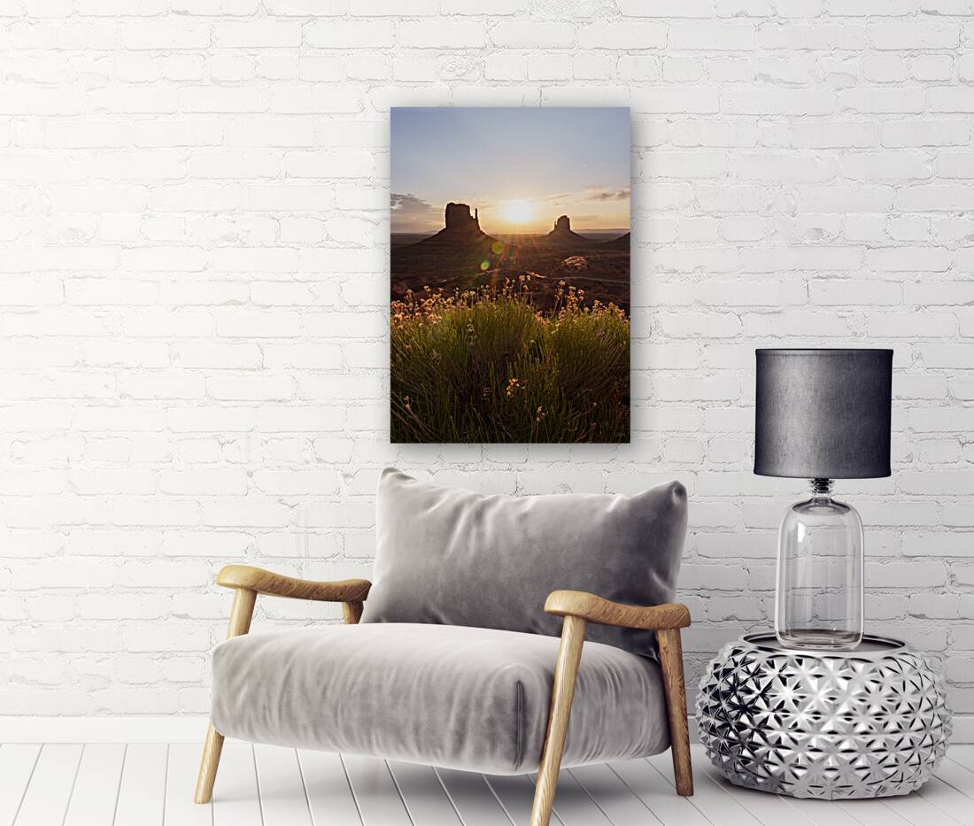 Yellow Flowers Monument Valley Sunrise Reproduction