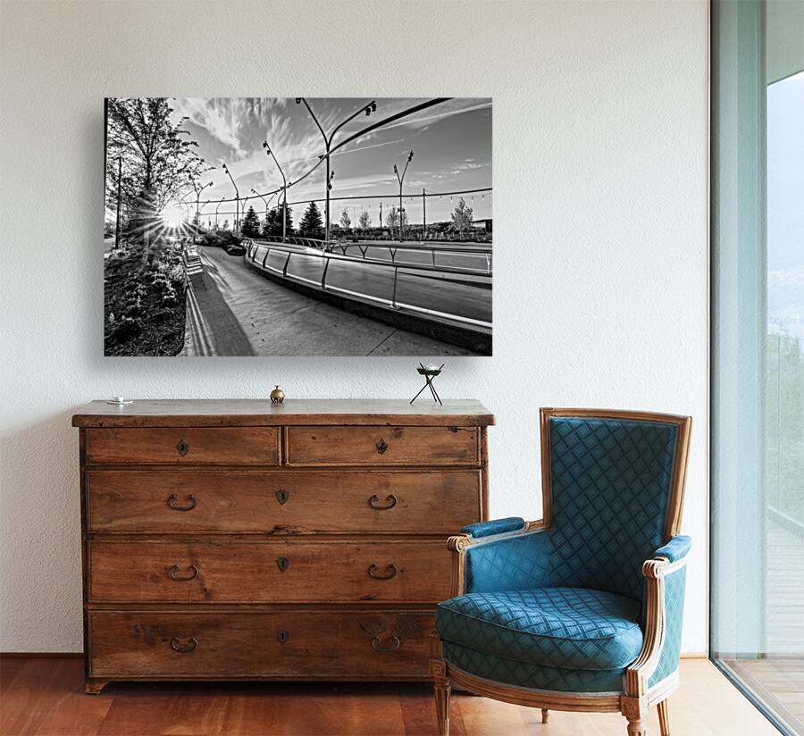 Omaha Skate Park Golden Sun Star Grayscale Reproduction