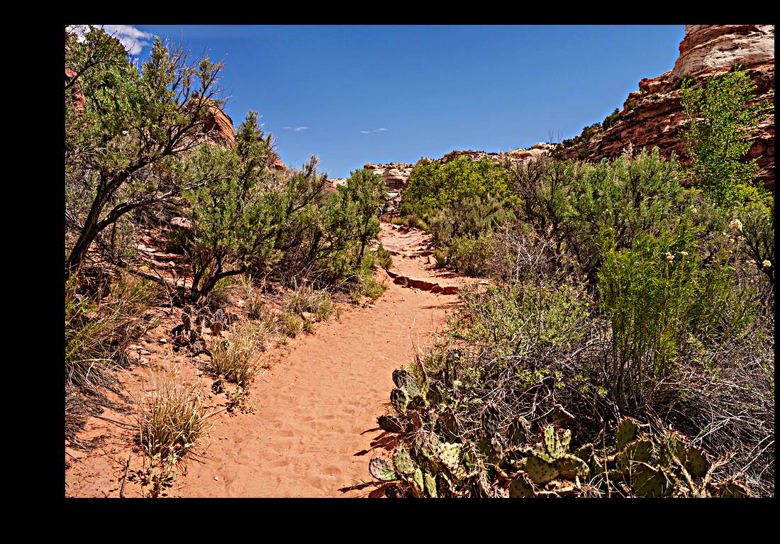 Pathway Through Grand Staircase Escalante Reproduction