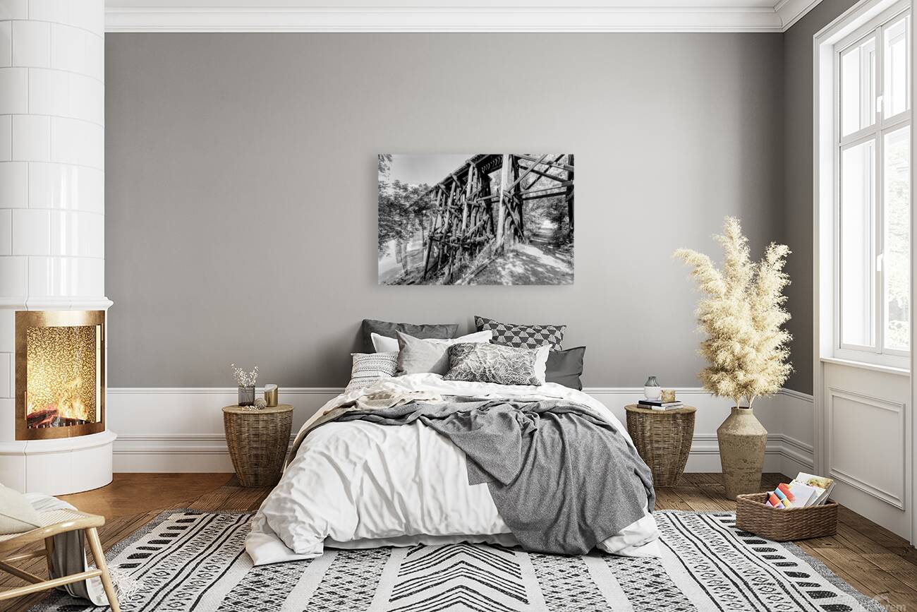 Path Under Old Railroad Bridge Grayscale Reproduction