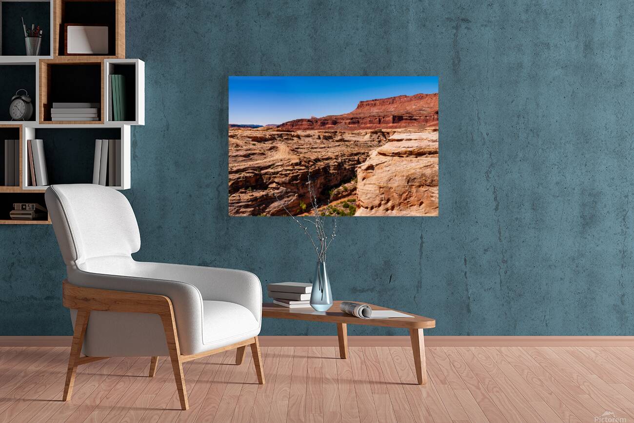 Dirty Devil River Utah Reproduction