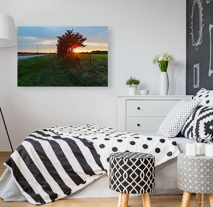 Red Sumac Tree Sunrise Countryside Reproduction