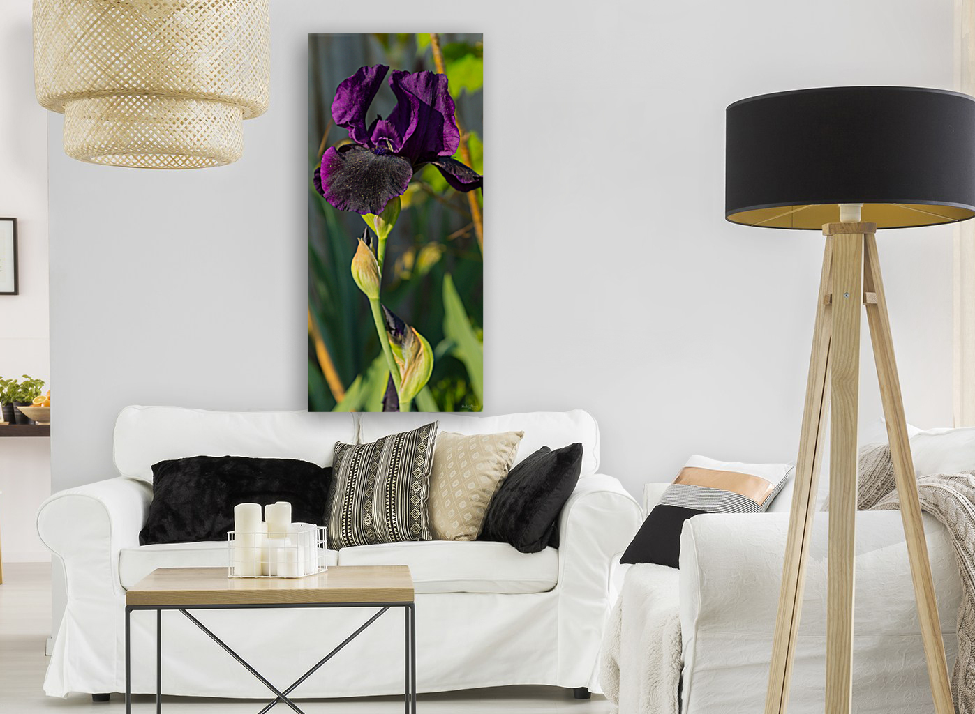 Dark Purple Iris Pano Reproduction
