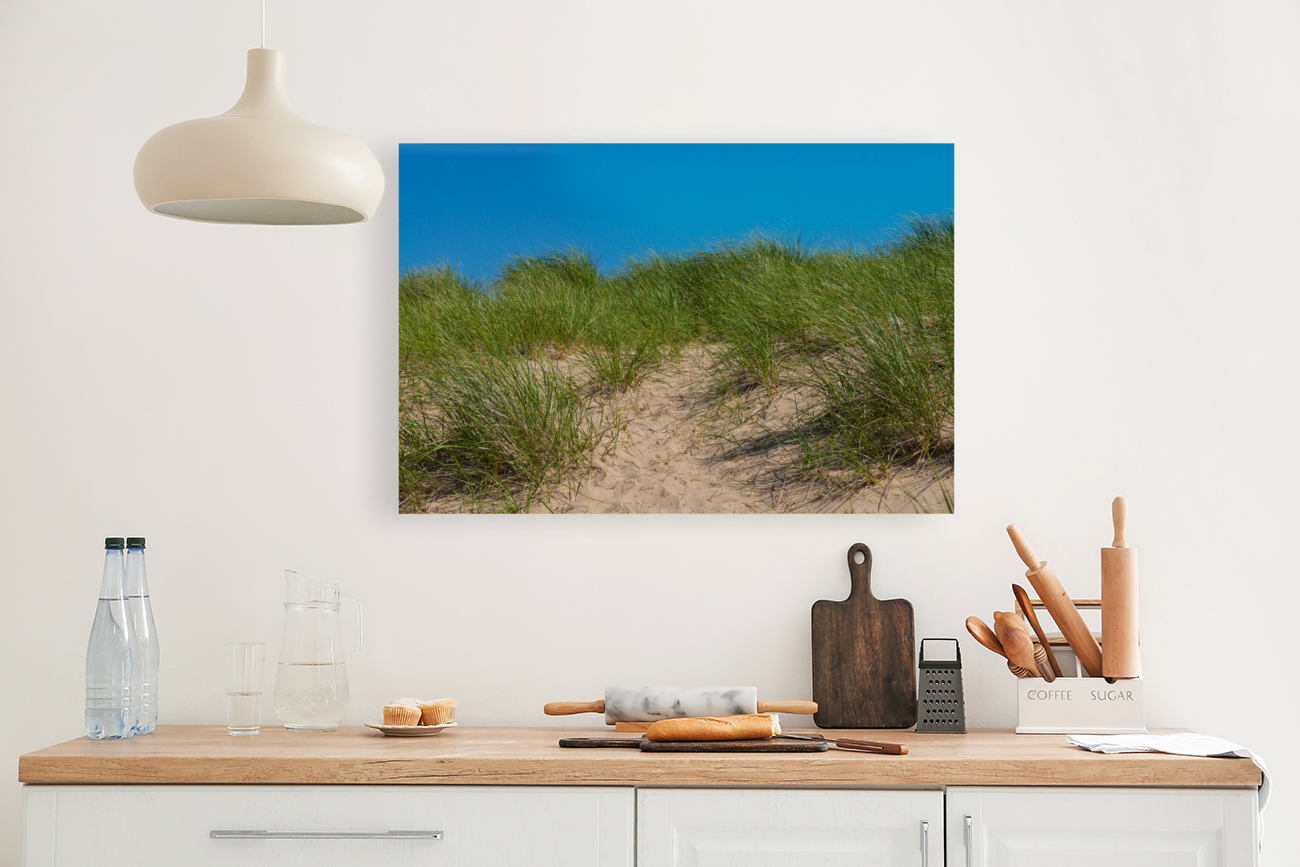 Dune And Oats Reproduction