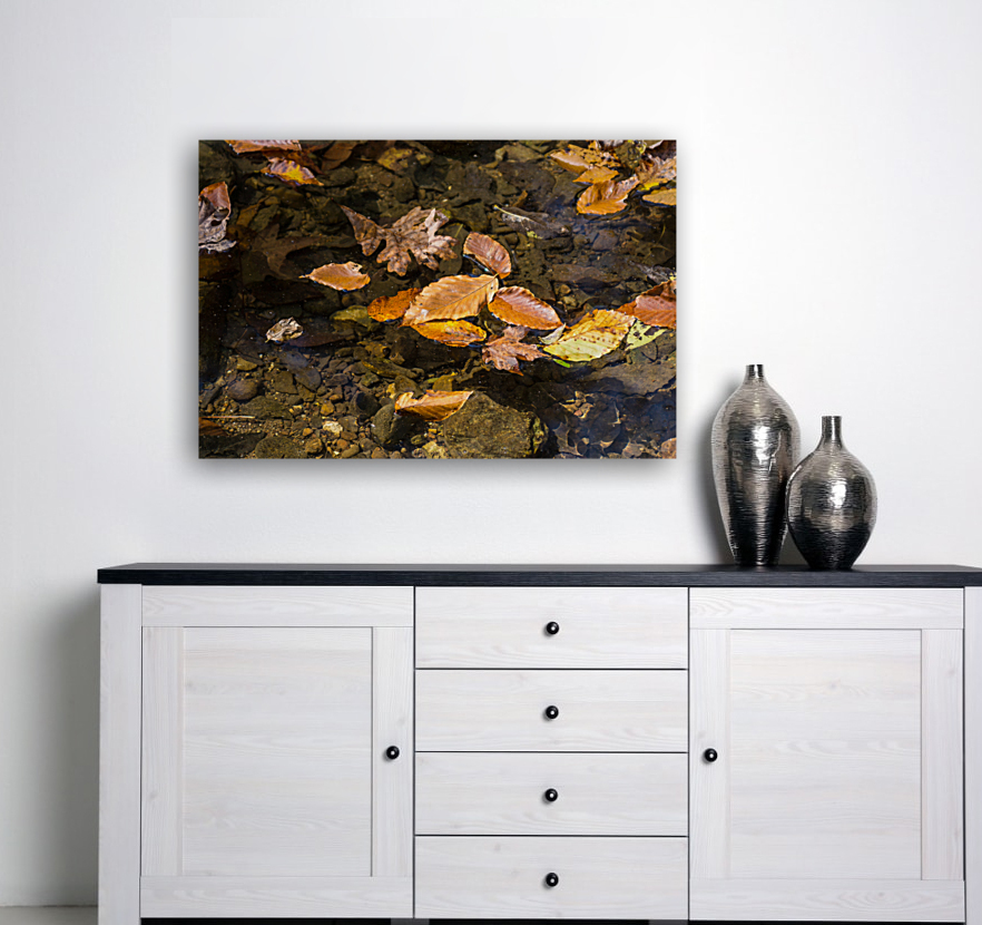 Fall Leaves Floating Reproduction