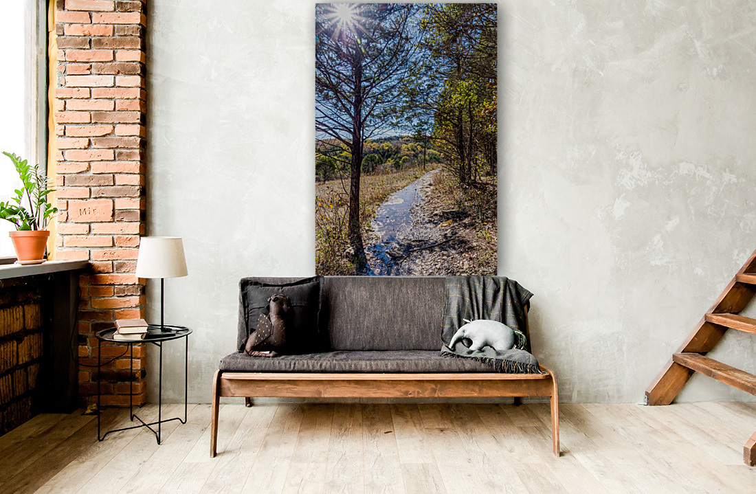 Sunshine Through A Pine Tree Reproduction