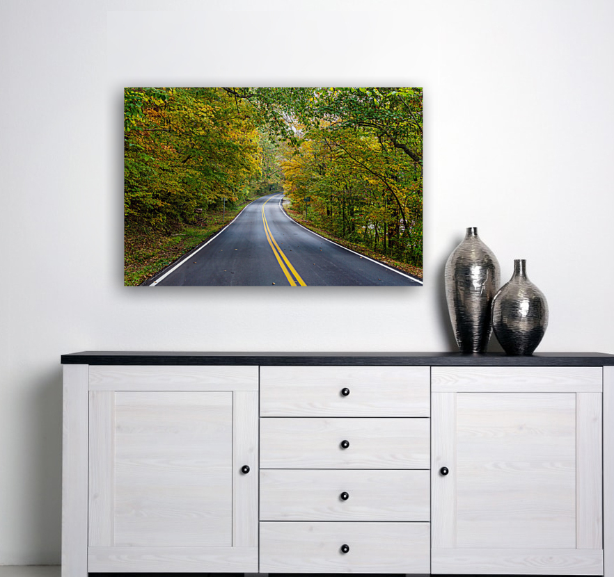 Fall Season Tree Lined Road Reproduction