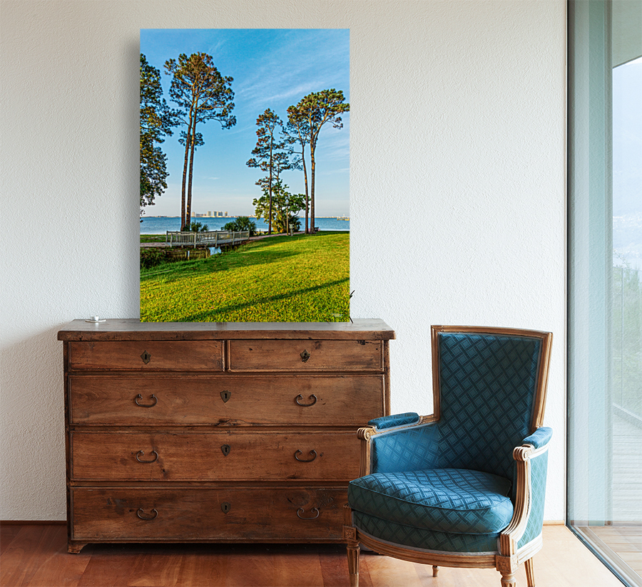 Navarre Beach Through Pine Trees Reproduction