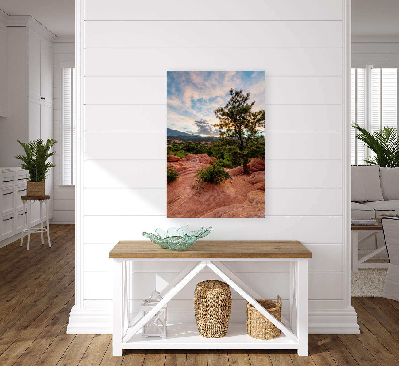 Colorado Pine Tree Sunset Reproduction