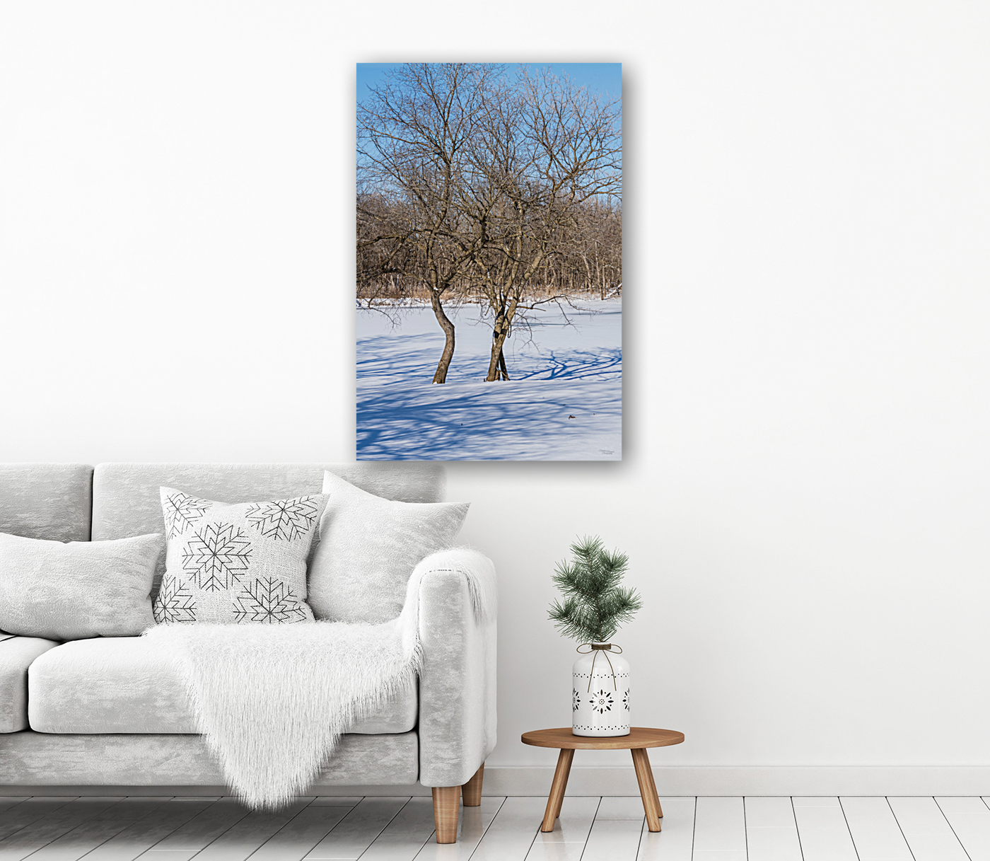 Crooked Winter Trees Springfield Reproduction