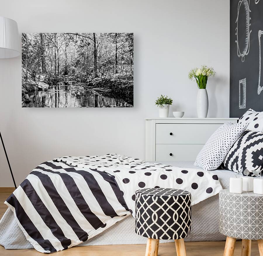 Rustic Forest Creek Winter Grayscale Reproduction