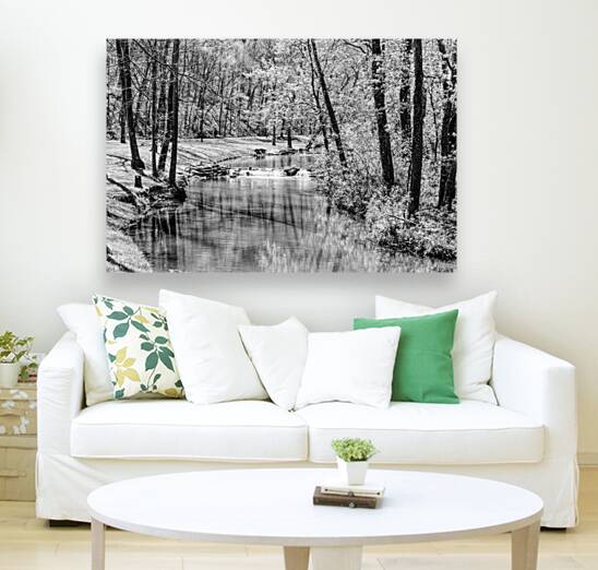 Spring Season Tranquility Grayscale Reproduction
