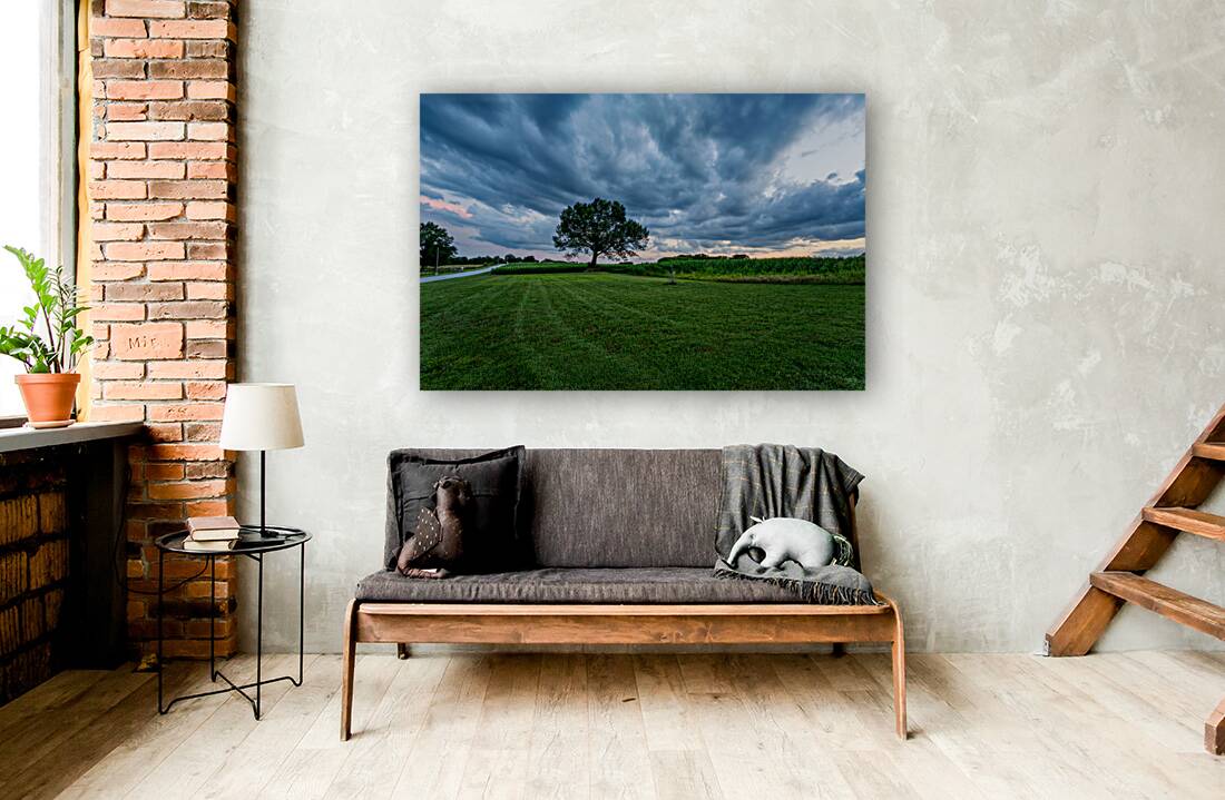 Country Road And Oak Tree Sunset Reproduction