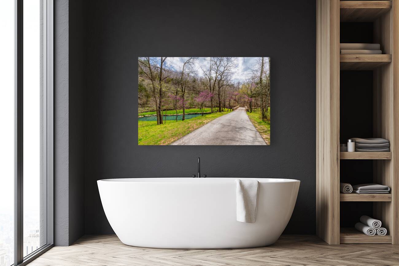 Walking Path On Spring Season Day Reproduction