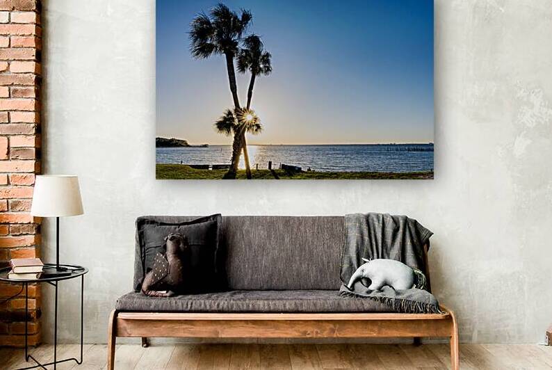 Palm Tree Sunburst Silhouette by Jennifer White