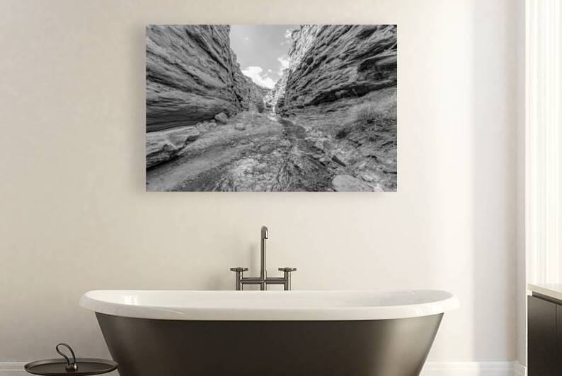 Mary Jane Canyon Walls Grayscale by Jennifer White