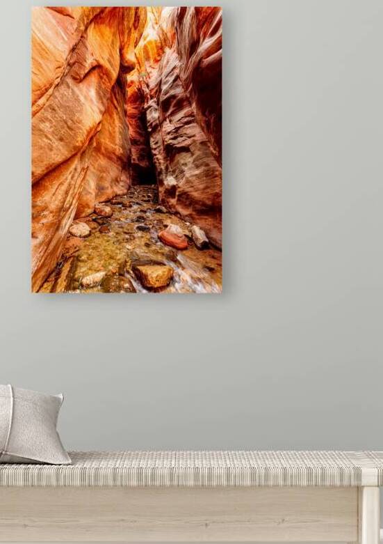 Kanarra Falls Slot Canyon Vertical by Jennifer White