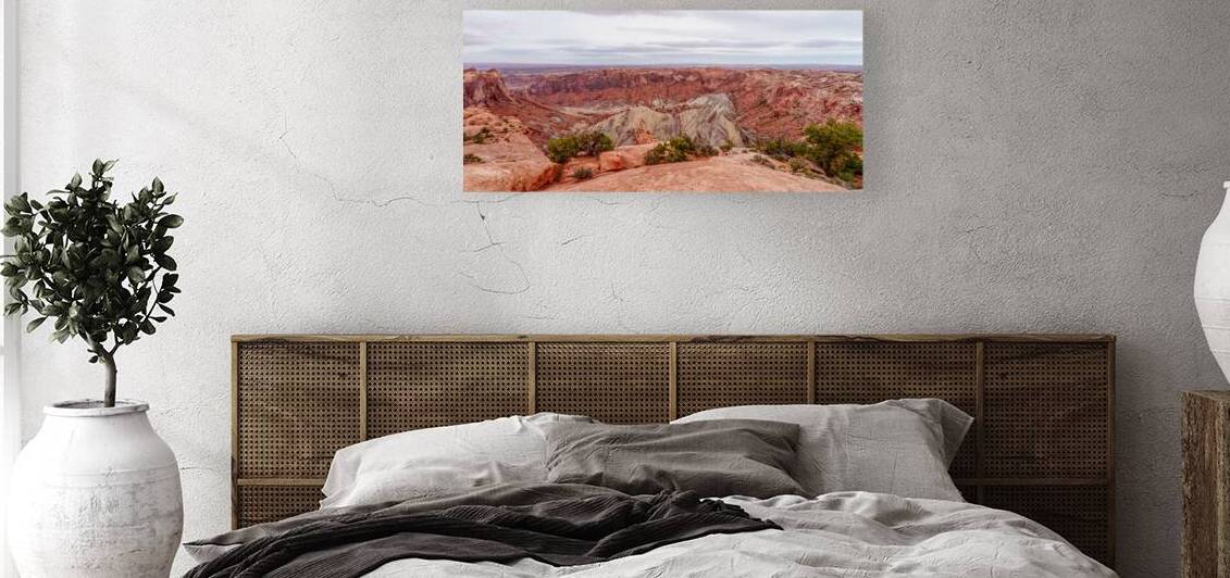 Cayonlands Upheaval Dome Pano by Jennifer White