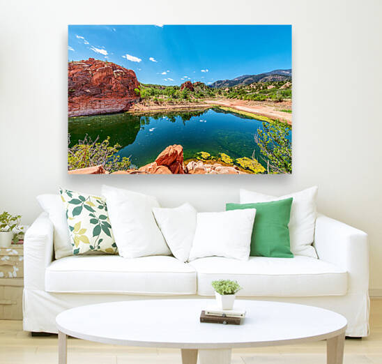 Quarry Pond Red Rock Canyon by Jennifer White