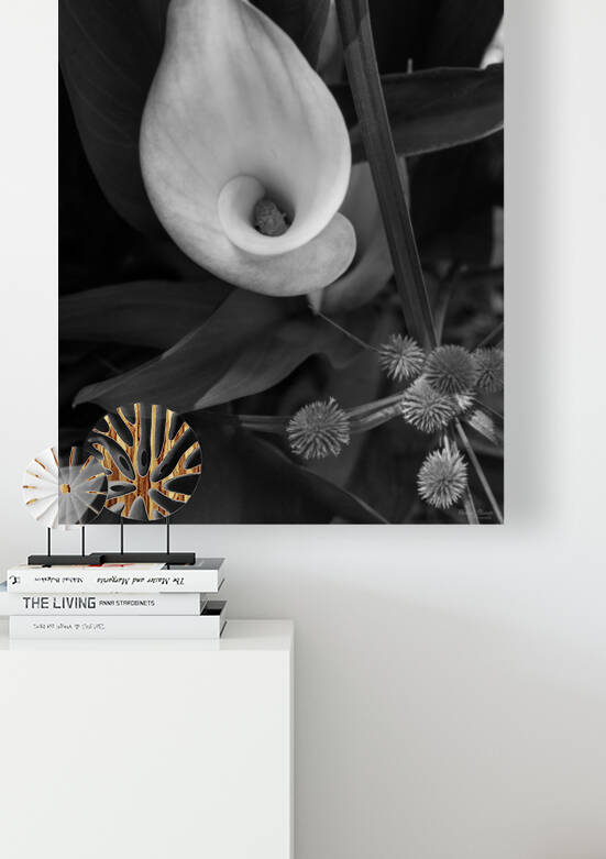 Calla Roll Grayscale by Jennifer White