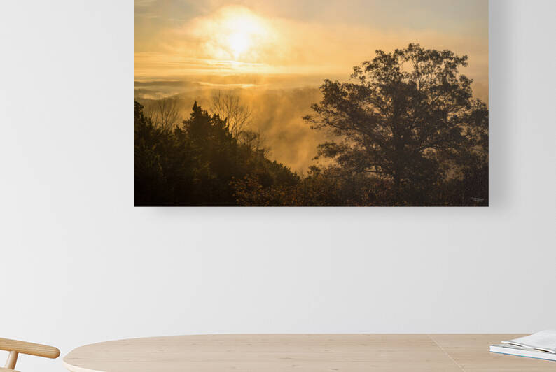 Henning Conservation Foggy Golden Hour by Jennifer White