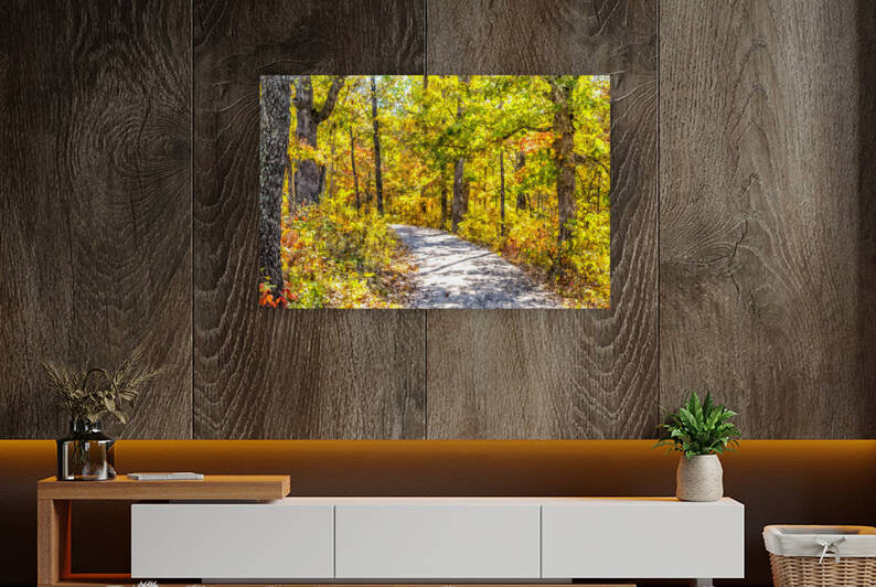 Curved Fall Season Pathway Painterly by Jennifer White