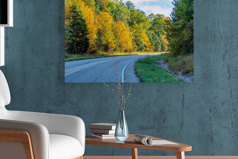 Road Through Mark Twain National Forest by Jennifer White
