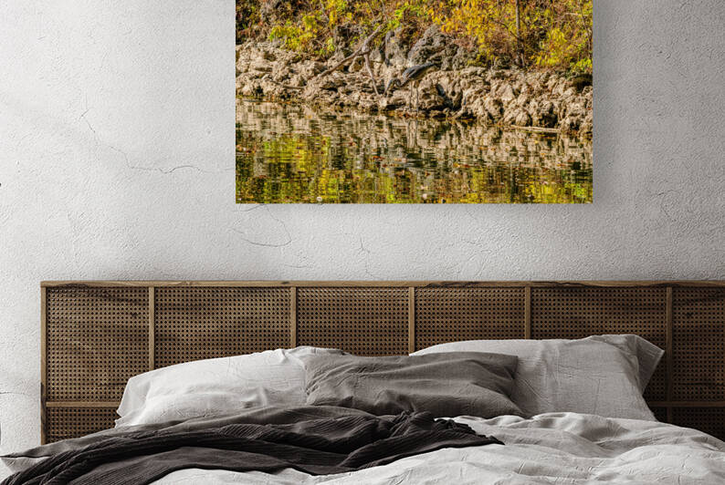 Find the Great Blue Heron by Jennifer White