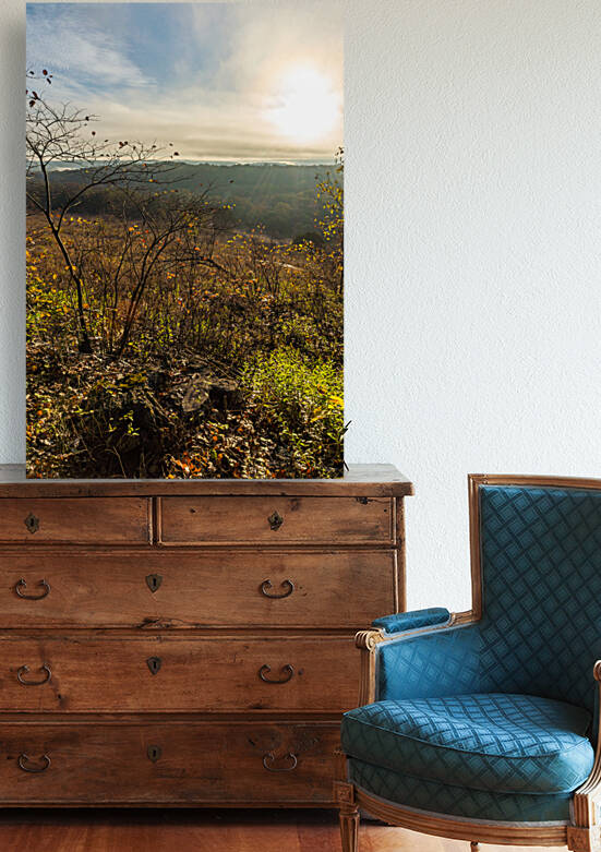 Branson Henning Morning Hike by Jennifer White
