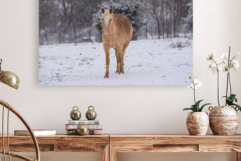 Blonde Horse In Snowfall by Jennifer White