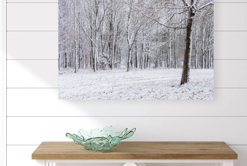 Snowy Forest by Jennifer White
