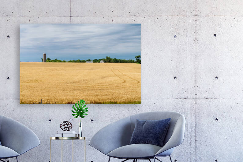 Kansas Wheat Farm Reproduction