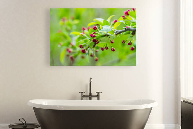 Spring Season Branches by Jennifer White