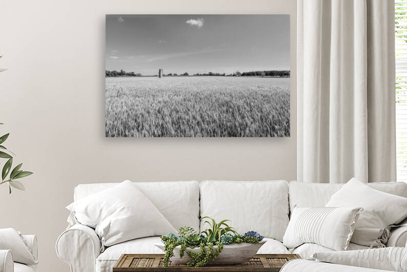 Silo In A Wheat Field Grayscale by Jennifer White