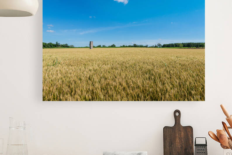 Silo In A Wheat Field by Jennifer White