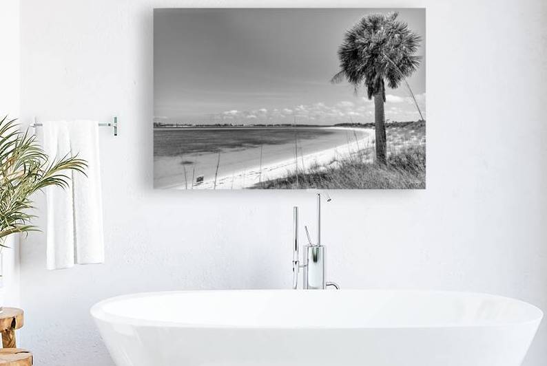 Shell Island Palm Tree And Chair Grayscale by Jennifer White