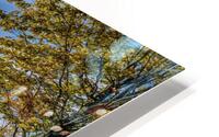 Omaha Discovery Playground HD Metal print
