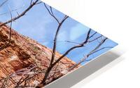 Dead Tree Colorado River Utah HD Metal print