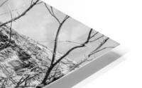 Dead Tree Colorado River Utah Grayscale HD Metal print