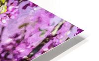 Purple Redbuds Painterly HD Metal print