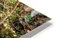 Falls Behind Branches HD Metal print