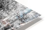 Forest Rock Garden Waterfall Grayscale HD Metal print