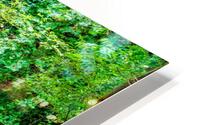 Pathway To Big Spring HD Metal print