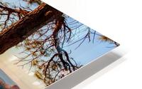 Sunrise Bench Glow Bryce Canyon HD Metal print