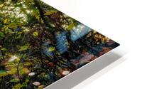 Forest Sunrise Hike HD Metal print