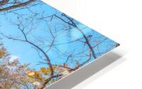 Seating Beside Topaz Mill HD Metal print