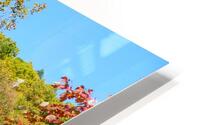 Summer Collapses Into Fall HD Metal print